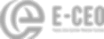 E-CEO