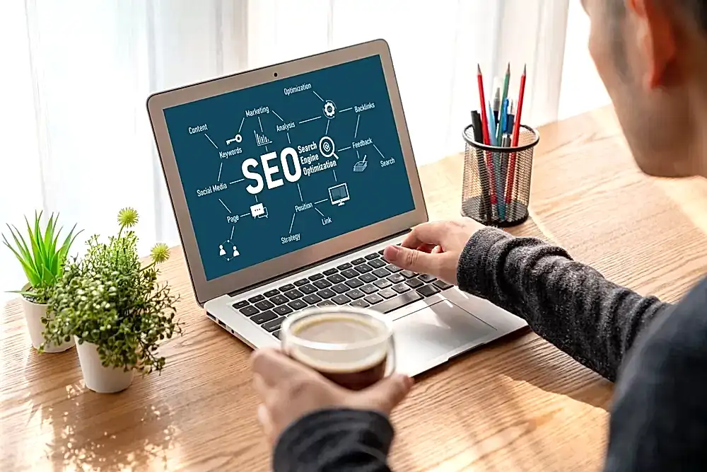web tasarımı