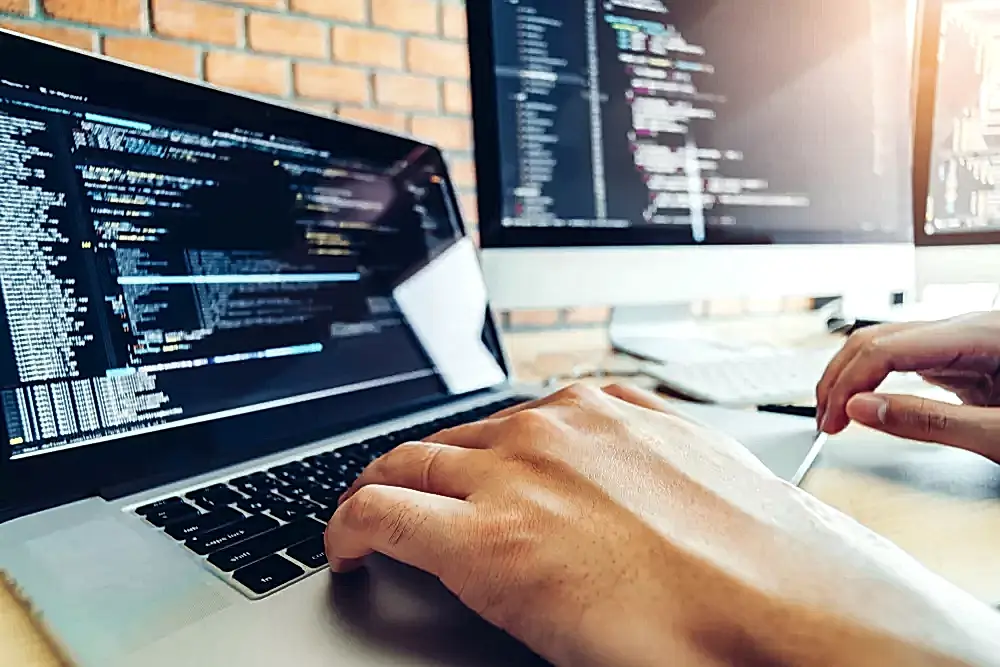 web yazılım